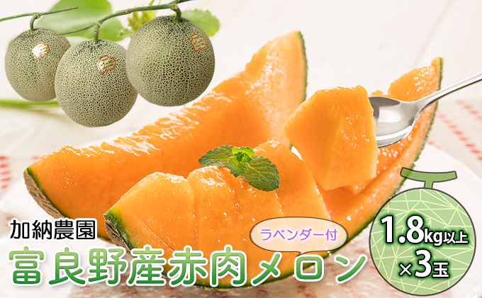 【2026年7月～発送】富良野産 赤肉 メロン ≪ラベンダー付≫ 1.8kg以上×3玉 北海道 富良野市 (加納農園) メロン フルーツ 果物 新鮮 甘い 贈り物 ギフト 道産 ジューシー おやつ ふらの ブランド 夏