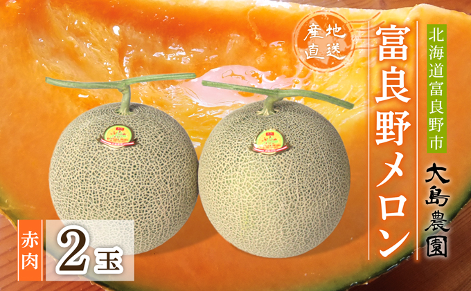 【2026年7月中旬～発送】ふらのメロン 1.6kg以上 赤肉 2玉 北海道 富良野市 (大島農園)