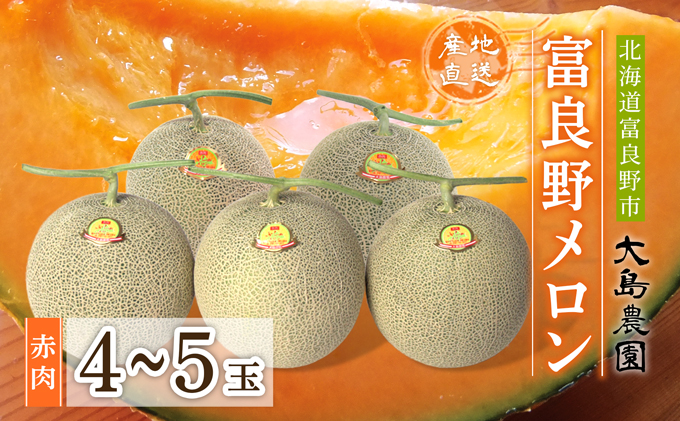 【2026年7月中旬～発送】ふらのメロン 1.6kg以上 赤肉 4～5玉 北海道 富良野市 (大島農園)