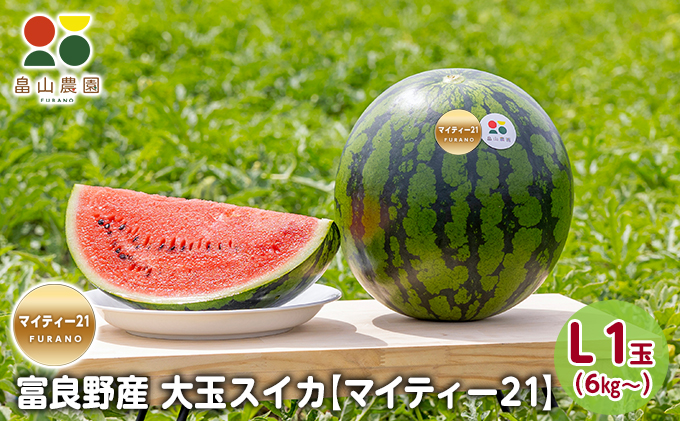 【2026夏発送】富良野産 大玉 スイカ L（6kg～）1玉【マイティ21】 北海道 ふらの すいか 西瓜 夏 フルーツ ふらの 甘い 糖度 大きい 大だま (畠山農園）