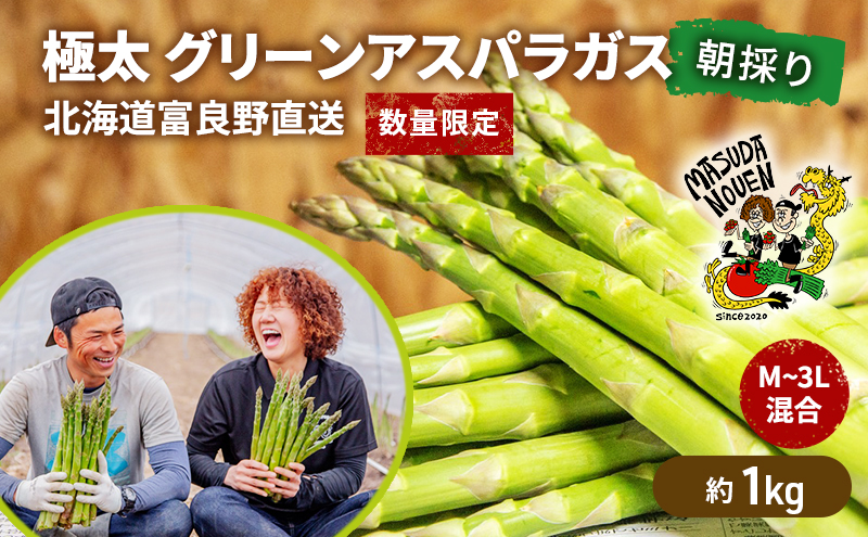 【数量限定・2026年4月初旬頃～発送】富良野 益田農園産 極太 グリーンアスパラガス ≪M～3L混合≫ 約1kg アスパラ 北海道 富良野市 緑アスパラ 野菜 とれたて 朝採り 限定 数量限定 (益田農園)