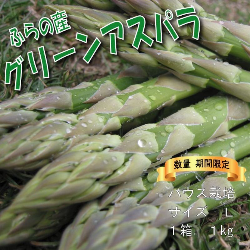 2025年春発送 ふらの産 グリーンアスパラ1kg[Lサイズ]ハウス栽培 富良野 北海道 野菜 アスパラ 朝採り