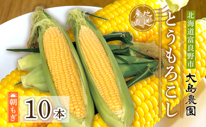 [2026年7月中旬〜発送]朝もぎ とうもろこし 恵味 めぐみ 10本 L-2L 北海道 富良野市 (大島農園)