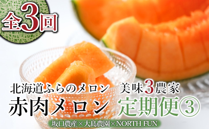 [年3回定期便][2026年6〜9月お届け]数量限定! こだわりのふらのメロン 厳選3農家 コラボ 定期便(3) 食べ比べ 赤肉 2玉×3回 合計6玉 (北海道 富良野市 果物 フルーツ 甘い デザート 産地 直送 新鮮 先着順 坂口農産 大島農園 NORTH FUN)