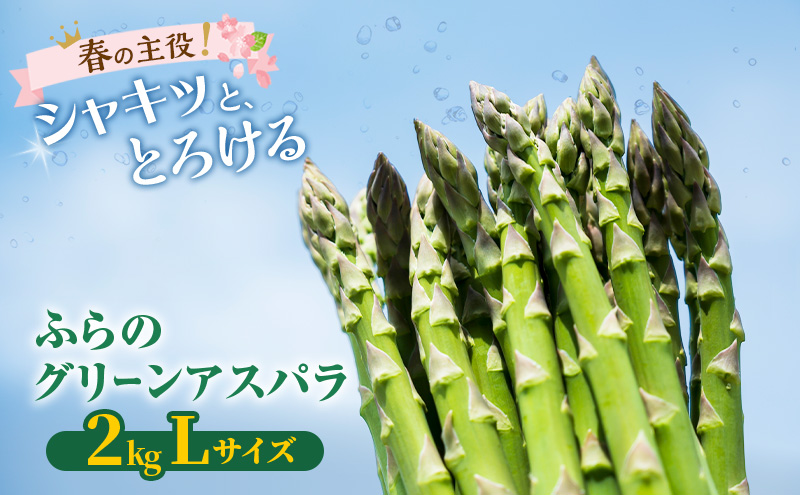 【2026年春発送】富良野産 グリーンアスパラ Lサイズ 約2kg