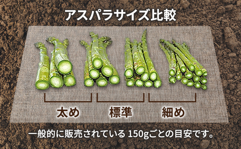 【2026年春発送】富良野産 アスパラ 約1kg 贅沢な太め (L～3Lサイズ混合) 中山農園 甘い やわらかい アスパラガス アスパラ 新鮮 野菜 産地直送 北海道 富良野 ふらの