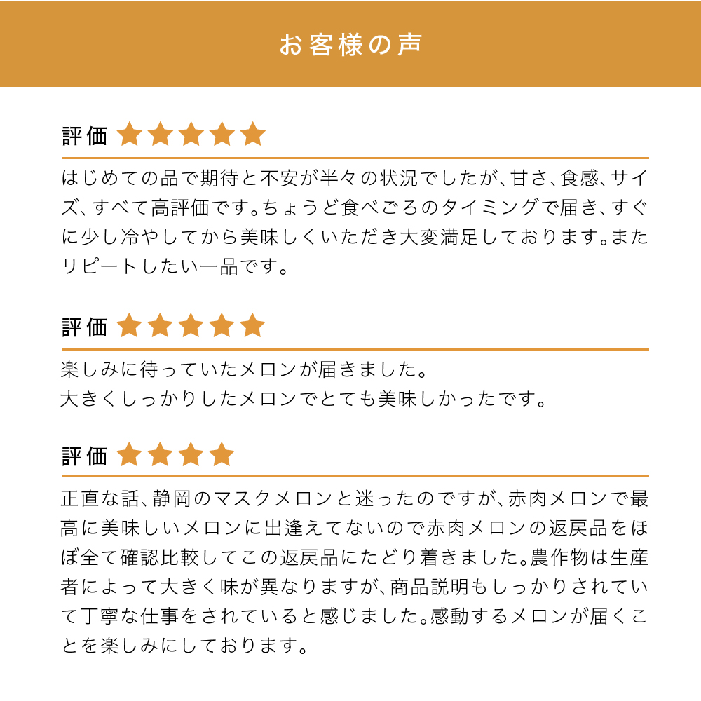 【12月限定特別価格★】ふらの山部の絶品メロン『鳳凰』 2L（1.8～2kg）×2玉（坂口農産）[2026年6月より出荷]メロン フルーツ 果物 新鮮 甘い 贈り物 ギフト 道産 ジューシー おやつ ふらの ブランド 夏
