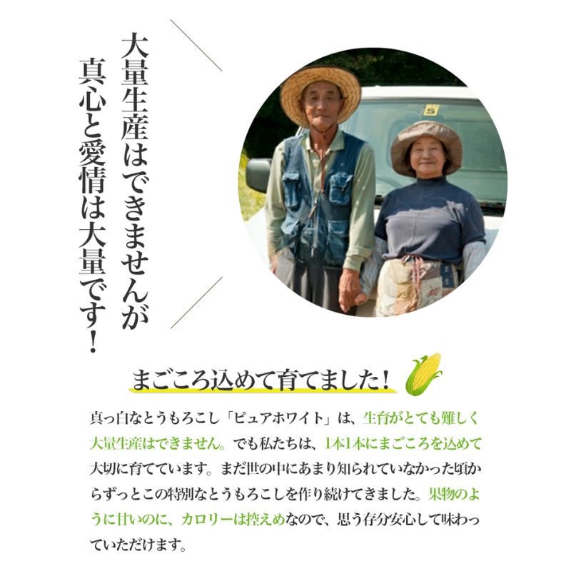 【2026年夏発送】訳あり とうもろこし ピュアホワイト 20本 富良野産 生で食べられる コーン