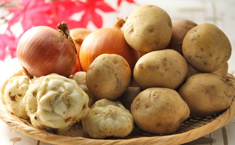 【2025年10月下旬～発送】北海道富良野　野菜セット【10kg詰め】 野菜 新鮮 ふらの にんじん 人参 かぼちゃ じゃがいも 芋 玉ねぎ たまねぎ ごぼう ゆり根 赤たまねぎ お米　)