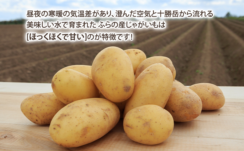 【2025年10月～発送】濃厚な甘さ！黄金のジャガイモ　インカの目覚め 【約10kg】 (スイートベジタブルファクトリー) 野菜 新鮮 直送 朝採り じゃがいも 芋 インカのめざめ いんか 道産 北海道