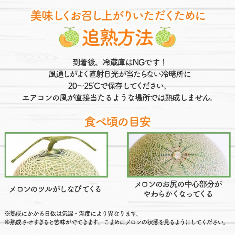 【2026年7月中旬～発送】※訳あり※ 富良野 メロン 2Lサイズ 約1.6kg【1玉】北海道 富良野市(スイートベジタブルファクトリー) 訳あり メロン フルーツ 果物 新鮮 甘い 道産 ジューシー おやつ ふらの