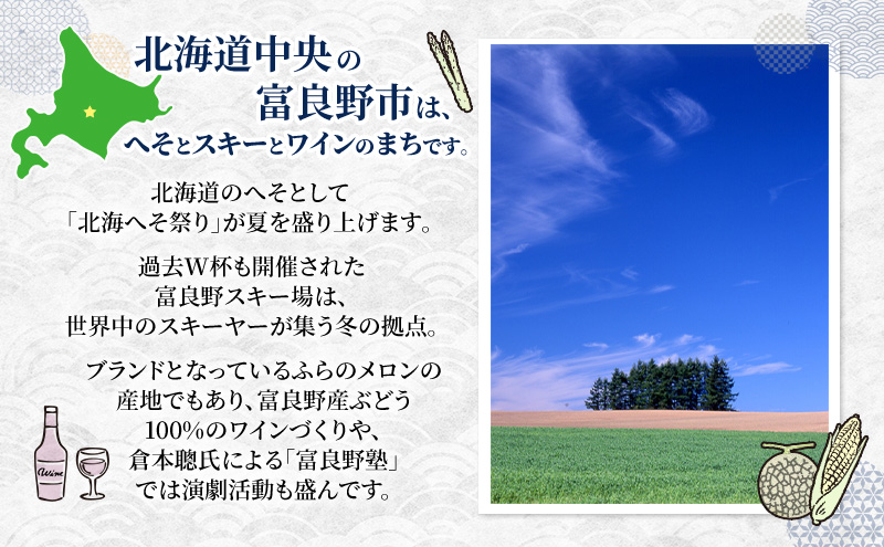 北海道 富良野市 寄附のみの応援受付 10,000円コース（返礼品なし 寄附のみ 10000円）
