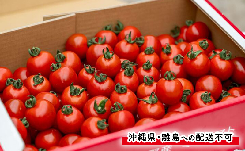 【2026年発送】●2回定期便● 富良野産 採れたて直送! 「アスパラ 約1kg・ミニトマト キャロル10 約2kg」 (清水farm) アスパラ アスパラガス トマト ミニトマト とまと 野菜 新鮮 季節限定 北海道 富良野 ふらの