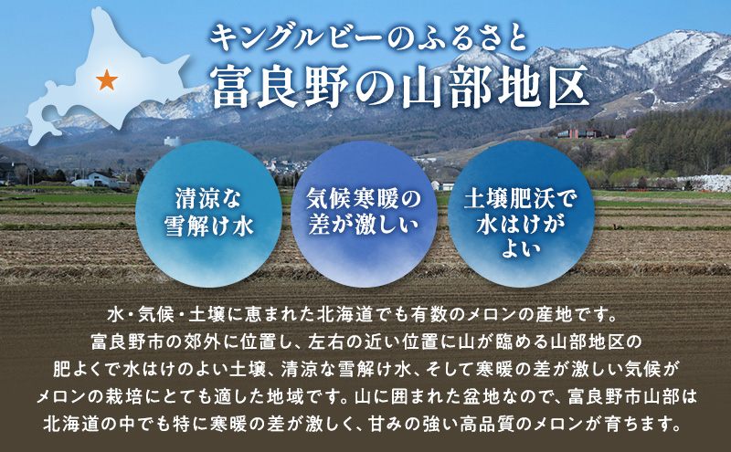 【2026年夏発送】富良野産 赤肉メロン 大玉 1玉（2kg以上）[近藤農園] メロン フルーツ 果物 新鮮 甘い 贈り物 ギフト 道産 ジューシー おやつ ふらの ブランド 夏 北海道 富良野市