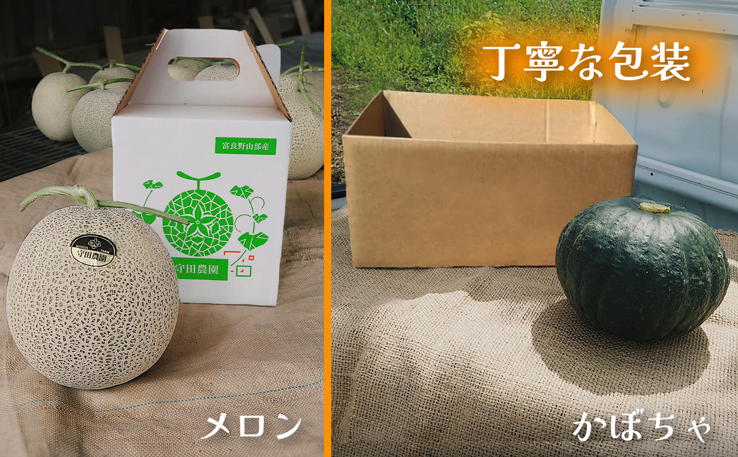 【定期便全2回 夏秋リレー】[2026年7～10月発送] 北海道富良野産 特秀品メロン 2kg1玉×1箱 ＆ 特濃こふき かぼちゃ 5kg×1箱｜北海道 富良野市 高糖度 メロン 黒皮かぼちゃ 濃厚 野菜 果物 フルーツ 贈答用 ギフト