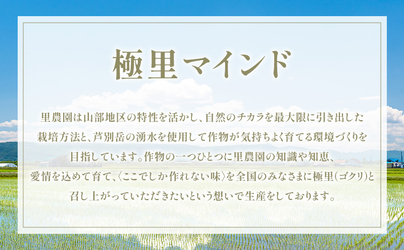 【2026年夏発送】富良野産 里農園の〈赤肉メロン〉 1玉 2kg以上 メロン 富良野メロン 赤肉メロン 果物 新鮮 甘い 北海道 富良野市