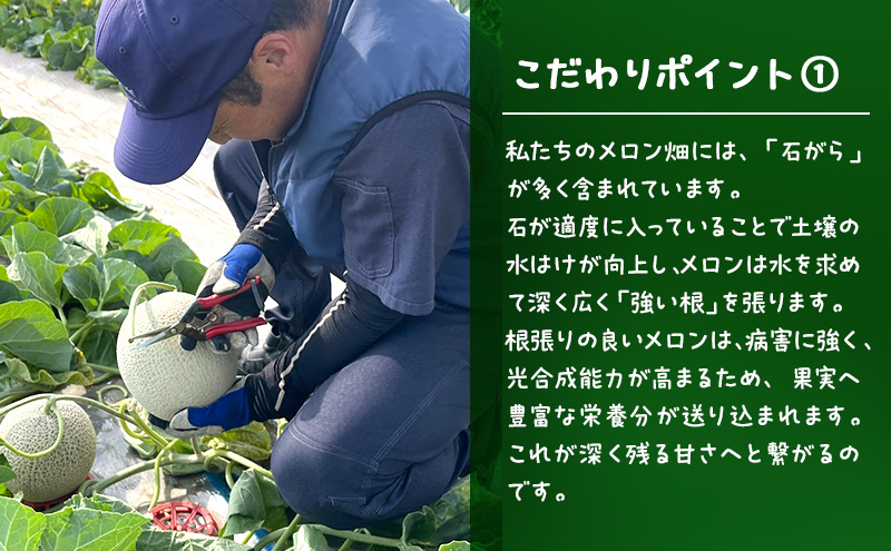 【2026年発送】 富良野メロン 赤肉 2玉入(計3.2kg以上) メロン ふらのメロン フルーツ 果物 くだもの 美味しい 甘い ギフト プレゼント 北海道 富良野市