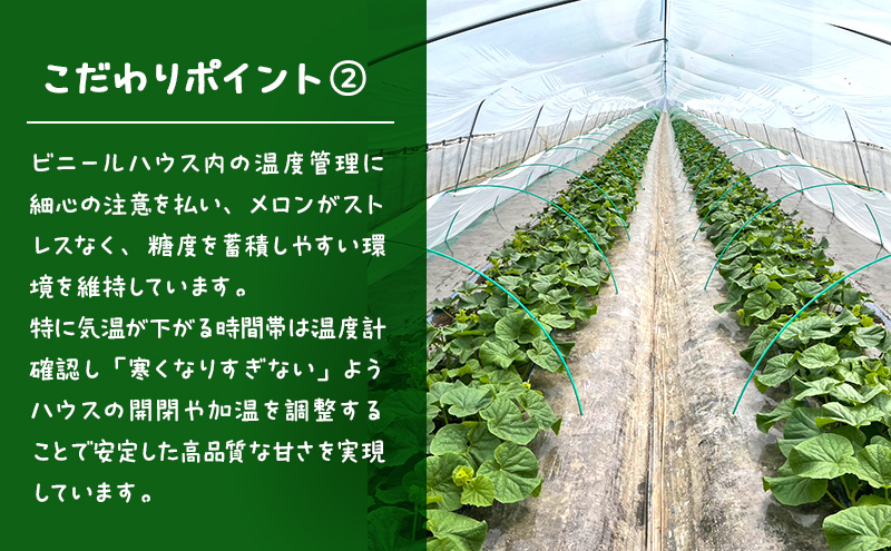 【2026年発送】 富良野メロン 赤肉 2玉入(約4kg以上) メロン ふらのメロン フルーツ 果物 くだもの 美味しい 甘い ギフト プレゼント 北海道 富良野市