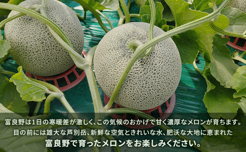 富良野産 キングメロン 4～5玉 秀品 (計8kg) 赤肉 メロン 富良野メロン 果物 フルーツ 甘い ジューシー 新鮮 ブランドメロン 贈り物 ギフト おやつ 夏 北海道 富良野市