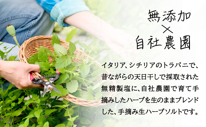 手摘み生ハーブソルト　魚料理用30g×1袋[bh-0810]