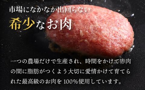 肉のあさひ 登別牛100％使用ハンバーグ 120g×5個[全3回お届け]　[na-0177]