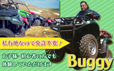 N.O.P登別オフロードパーク 四輪バギー 約60分利用券（フリーコース）　[nt-0558]