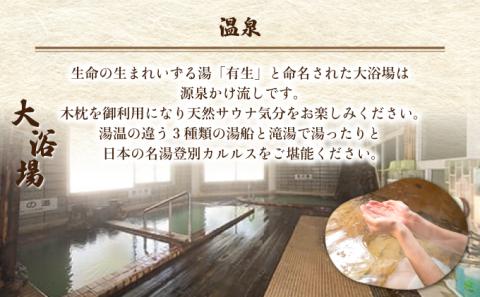 登別カルルス温泉　鈴木旅館　日帰り入浴券（11枚綴り）　[sz-0308]