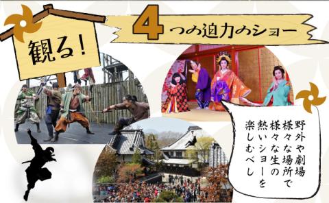 登別伊達時代村 入村チケット 大人2名　[nj-0271]