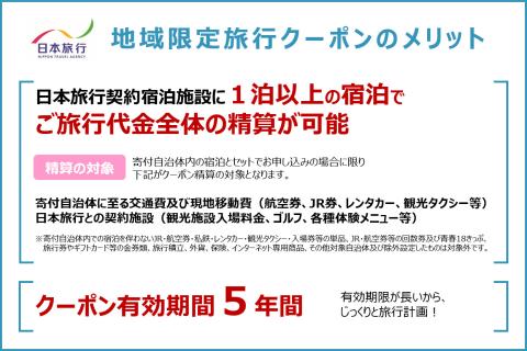 北海道登別市 地域限定旅行クーポン 60,000円分 日本旅行 トラベルクーポン 納税チケット 旅行 宿泊券 ホテル 観光 旅行 旅行券 交通費 体験 宿泊 夏休み 冬休み 家族旅行 ひとり旅 カップル 夫婦 親子 登別名旅行　[jt-0454]