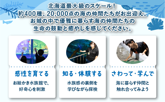 登別マリンパークニクス 入場券年間パスポート 大人 1名 【 チケット 北海道 観光 旅行 体験 パーク 入場券 入園券 割引 北海道 水族館 動物園 イルカ アシカ ペンギン パレード】mr-0896