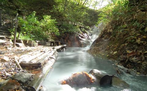 北海道 登別市 ANAトラベラーズダイナミックパッケージ クーポン22，500点分