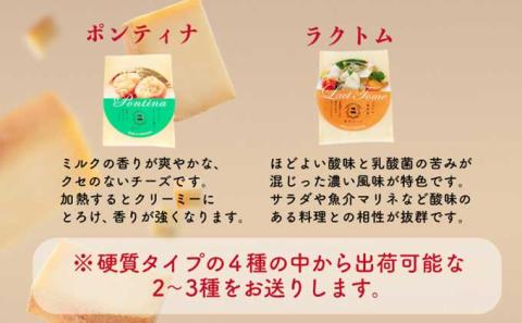 酪農館　チーズデラックスセット　[nr-0553]