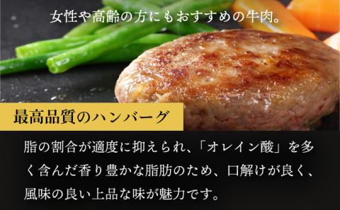 肉のあさひ 登別牛100％使用ハンバーグ 120g×5個[全5回お届け]　[na-0184]