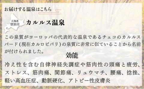 自宅で温泉入浴　登別カルルス温泉20L×3箱【3ヶ月連続お届け】　[hn-0074]