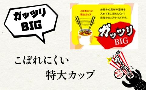 北海道のガッツリ納豆極小粒（100g×3入）10個【10ヶ月連続お届け】　[dh-0056]