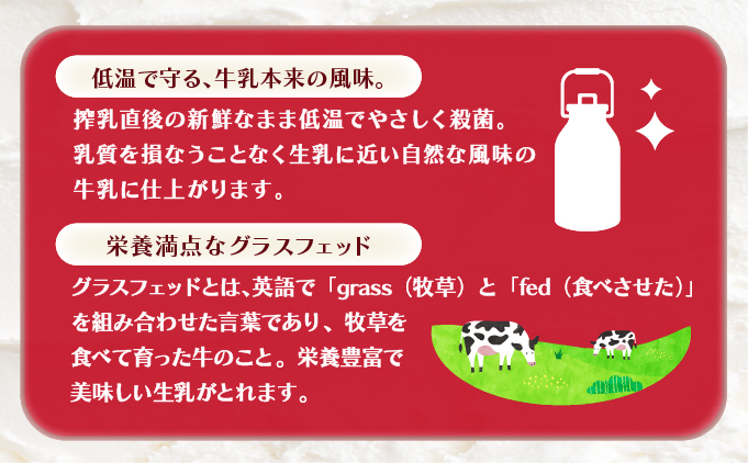 バニラアイスクリームセット　[nr-0194]