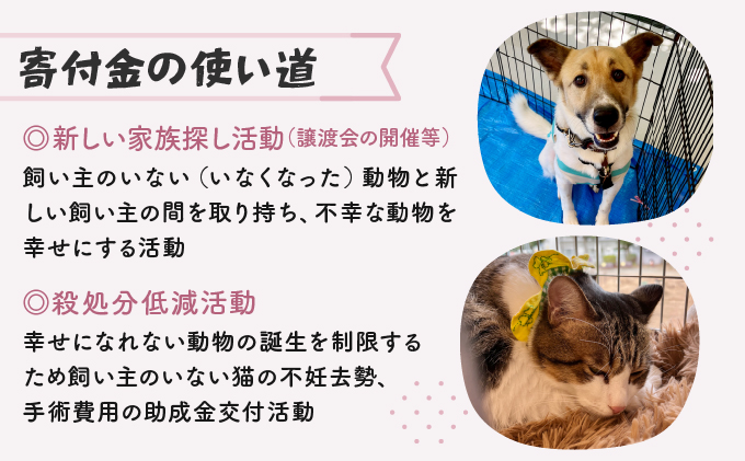 日本動物愛護協会殺処分低減活動への寄附【犬猫殺処分ゼロ】（返礼品なし）【MRI-AiD】【寄付額：1000円】