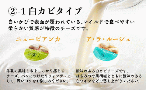 酪農館　チーズセット　チーズ 6個 生ハム 100g　[nr-0196]