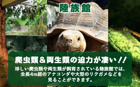 登別マリンパークニクス 入園券　大人1名　[mr-0517]