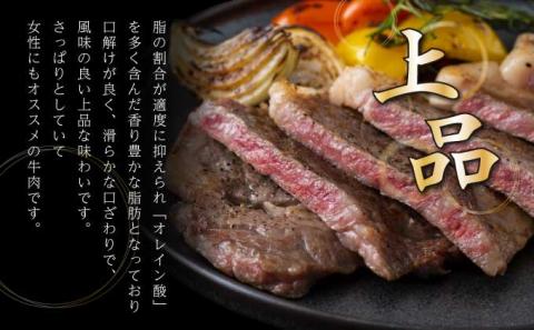 登別牛サーロインステーキ肉400g（200g×2枚）　[na-0524]