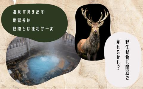 登別温泉地獄谷ナイトアドベンチャーペア参加券（暗闇地獄ウォーク）　[nt-0554]