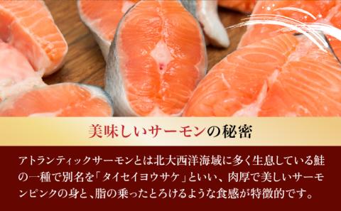 とろとろサーモン地獄漬100g×3個　[kd-0079]