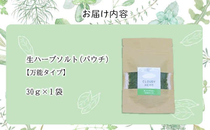 手摘み生ハーブソルト　万能タイプ30g×1袋[bh-0808