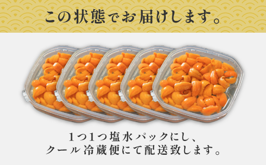 北海道 登別近海産　無添加　極上エゾバフンウニ塩水パック500g ※2025年6月より発送 [mh-0261]