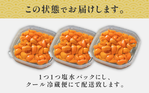 北海道 登別近海産　無添加　極上エゾバフンウニ塩水パック300g ※2025年6月より発送 [mh-0262]