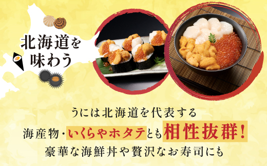 登別近海産 キタムラサキウニ 冷凍パック100g【6月以降順次配送】 [mh-0773]
