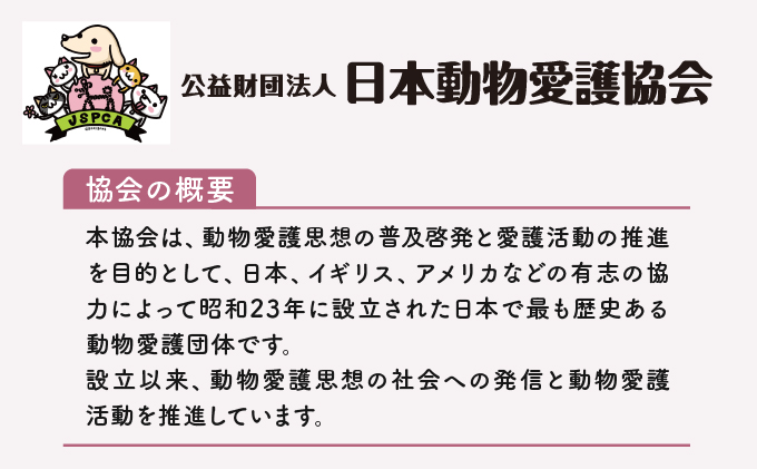 日本動物愛護協会殺処分低減活動への寄附【犬猫殺処分ゼロ】（返礼品なし）【MRI-AiD】【寄付額：10万円】【pr-0902-8】