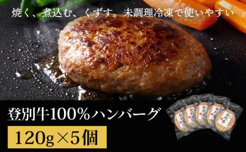 登別牛100％使用ハンバーグ 120g×5個　[na-0163]