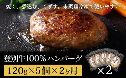 肉のあさひ 登別牛100％使用ハンバーグ 120g×5個[全2回お届け]　[na-0173]