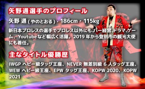 登別市×矢野選手　ふるさと納税限定コラボTシャツ （黒） 2XL　[da-0351]